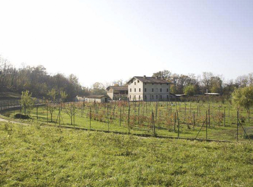 Agriturismo brusignone_0020_Brusi